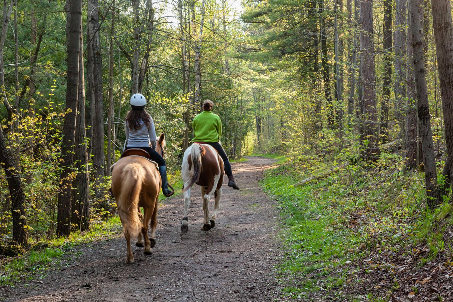 Horseback (1)